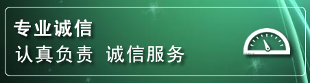 镇康网站排名